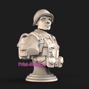Американский солжат молель 3D