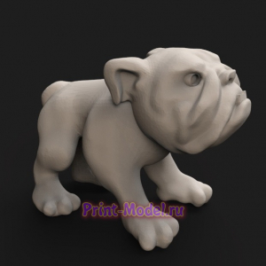 Бульдог 3D модель