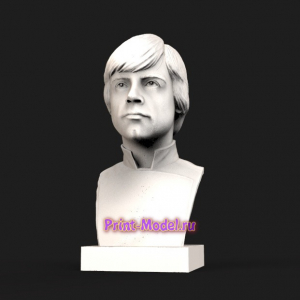 Мистер Luke 3D модель