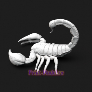 Скорпион 3d модель