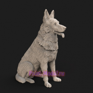 Собака модель 3D модель