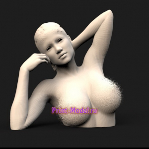 Девушка в стиле ню 3D модель